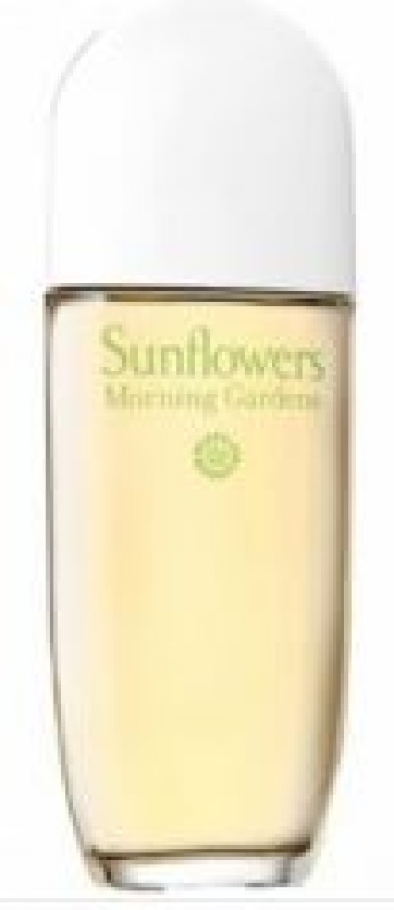 Sunflowers Morning Gardens