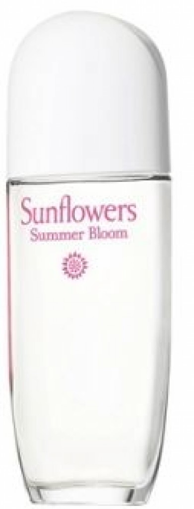 Sunflowers Summer Bloom