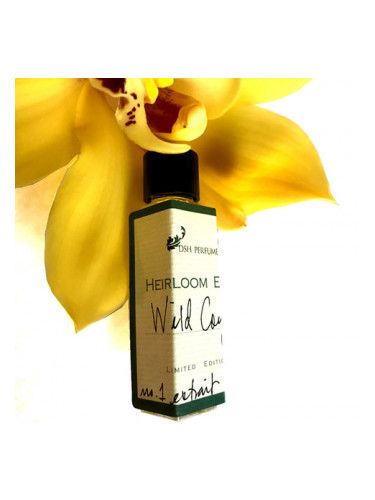 عطر دي اس اتش وايلد كويوتي