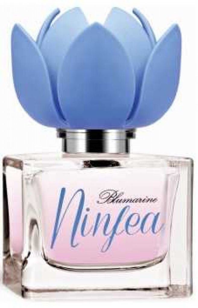Ninfea