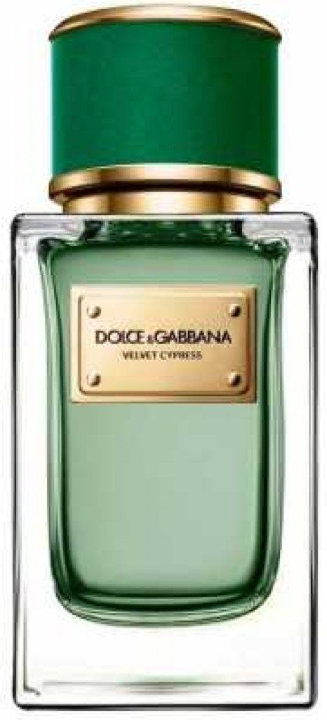 عطر فلفيت سيبرس دولشي أند غابانا