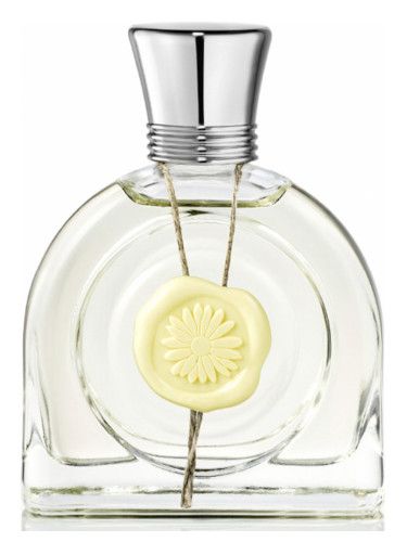 عطر ام ميكاليف فلور لومير