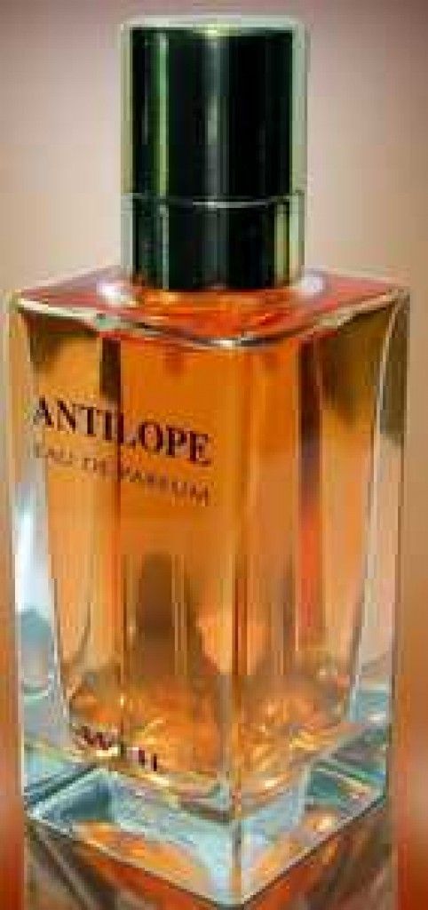 عطر ويل أنتيلوب