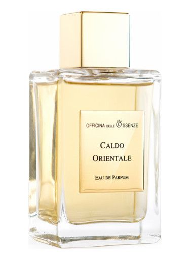عطر أوفيسنا ديل اسنس كالدو أورينتال