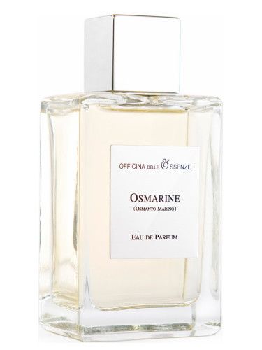 عطر أوفيسنا ديل اسنس اوسمارين أوسمانتو مارينو