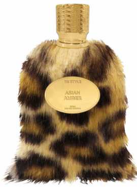 Asian Amber