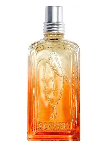عطر لوكسيتان ان بروفنس فيرفين مندرين