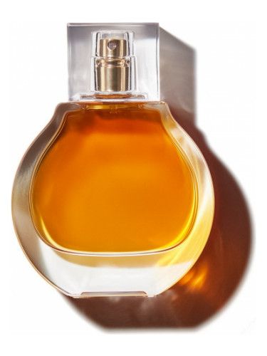 عطر كي كي دابليو عنبر