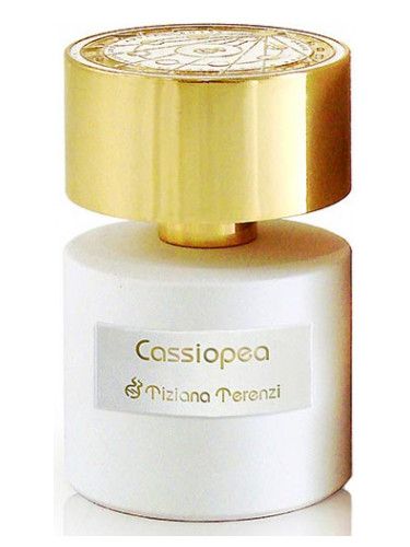 Cassiopea