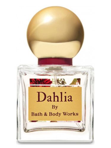 Dahlia