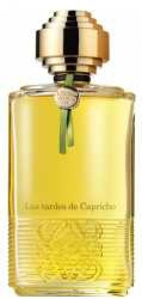 عطر لاس تاردز دي كابريتشو لويفي
