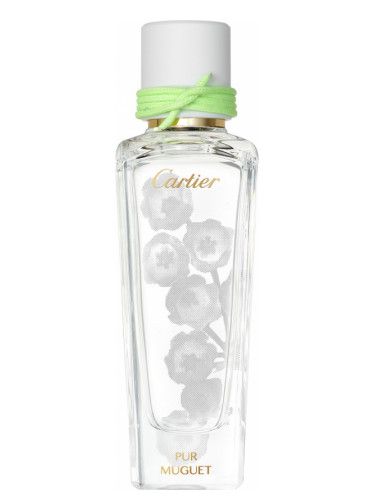 عطر كارتييه بور موجيت