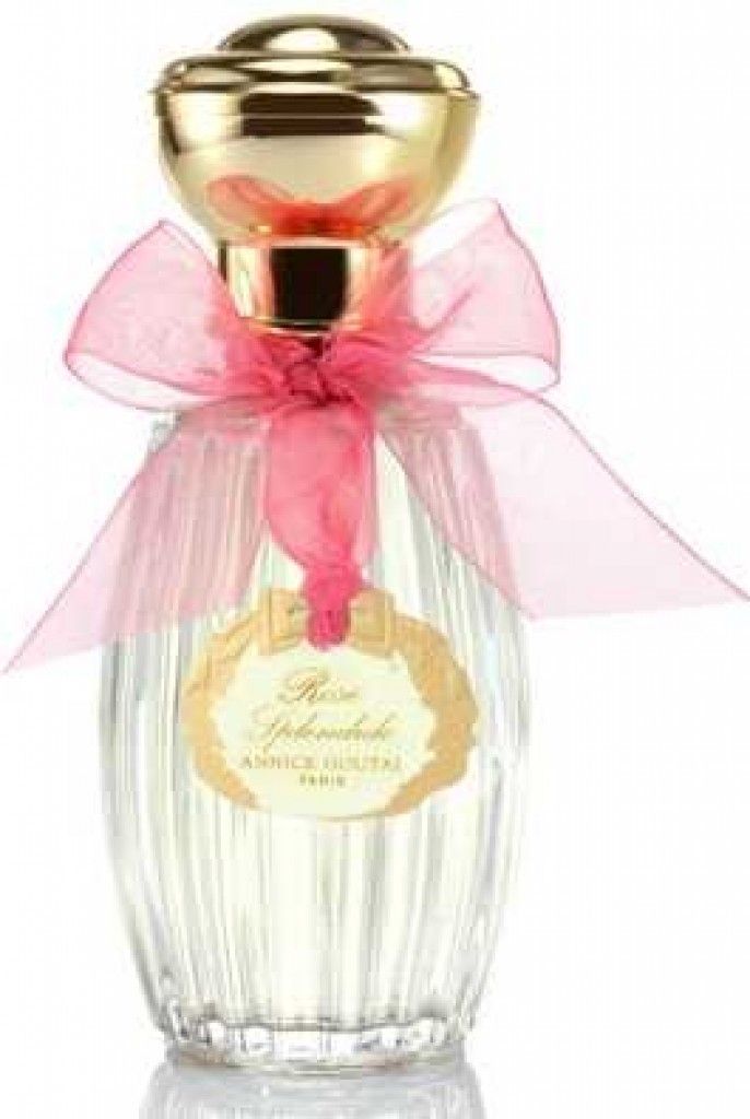 Rose Splendide