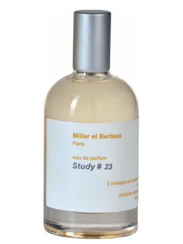 Study No. 23 / Newsletter