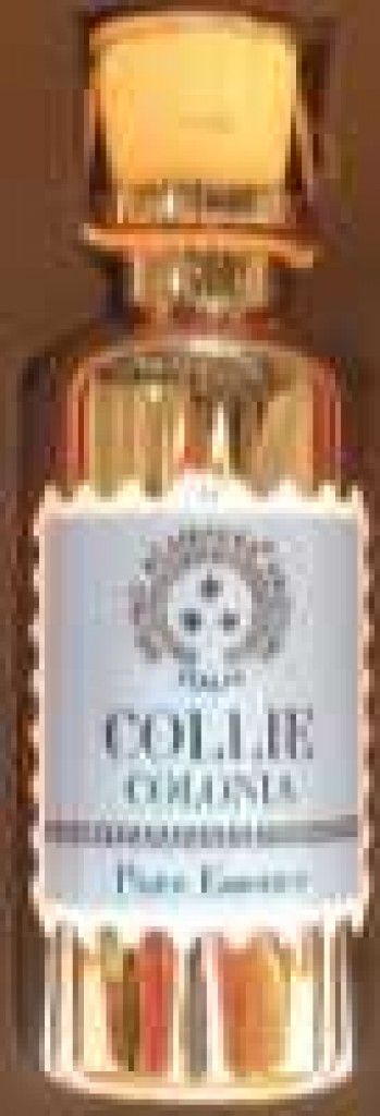Collie Colonia