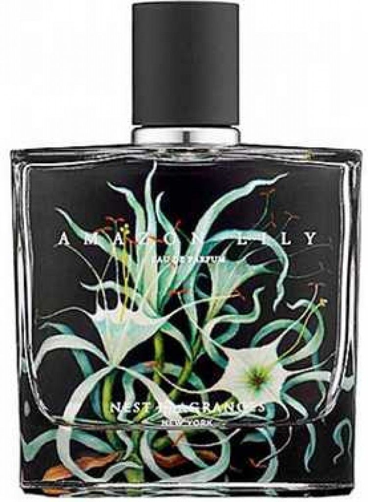 عطر نست أمازون ليلي