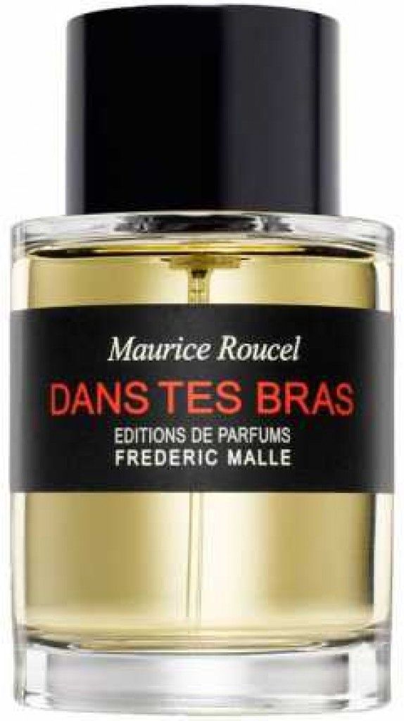 Dans Tes Bras