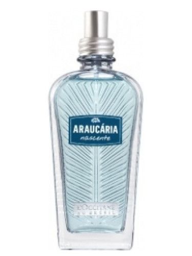 عطر لوكسيتان ان بروفنس اروكاريا ناسينت