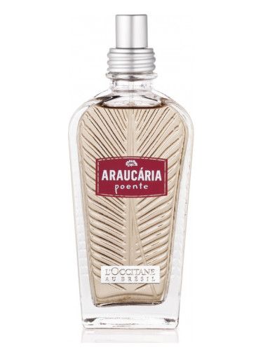 عطر لوكسيتان ان بروفنس أروكاريا بوينت