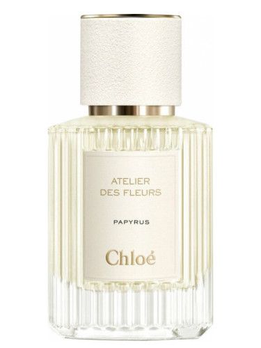 عطر كلوي بابايرس