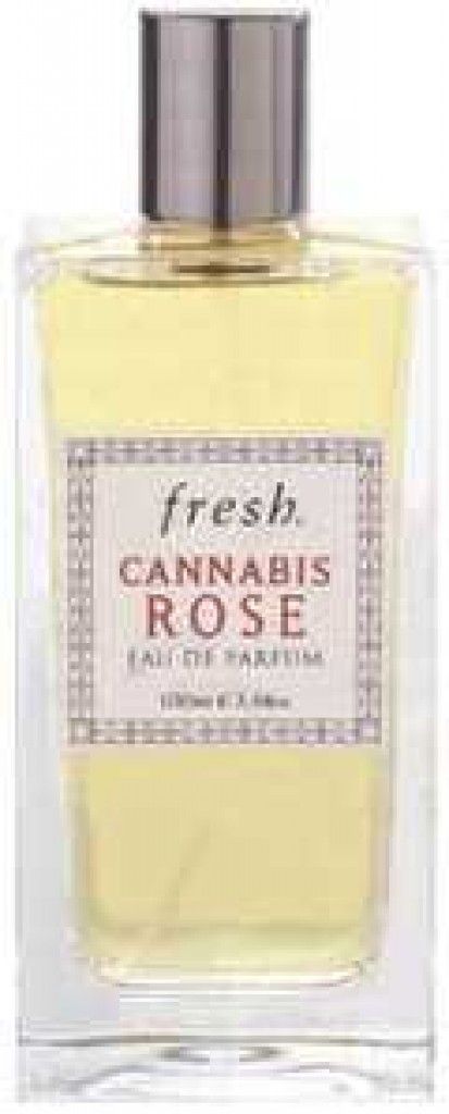 Cannabis Rose