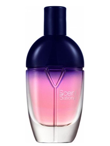 عطر أوريفليم سينتساتينولا