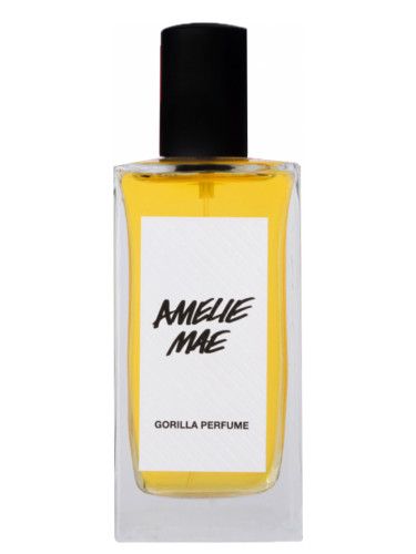 عطر لاش أميلي ماي