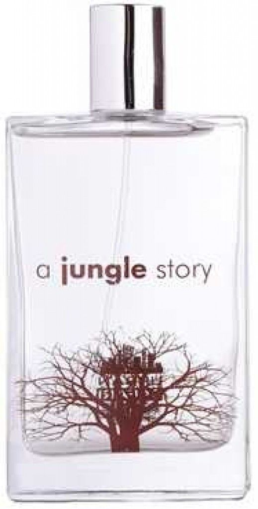 Urban Safari A Jungle Story
