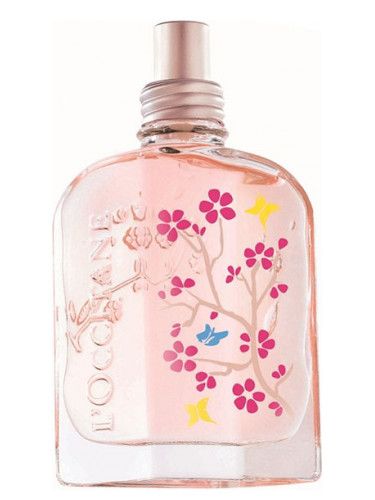 عطر لوكسيتان ان بروفنس سيريسير بابيلون
