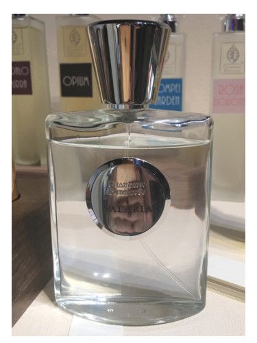 عطر جياردينو بينيسيري سالاريا