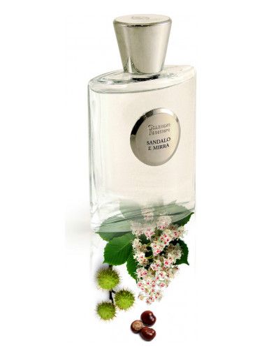 عطر جياردينو بينيسيري صاندالو اي ميرا
