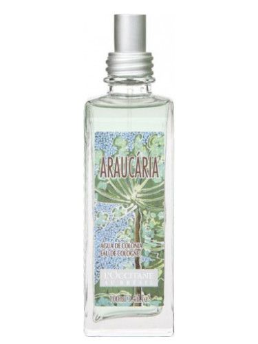 عطر لوكسيتان او برازيل أراوكاريا