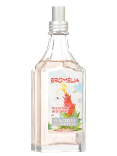 Bromélia