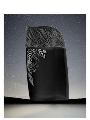 عطر سيد جنيد عالم رزين ميدنايت