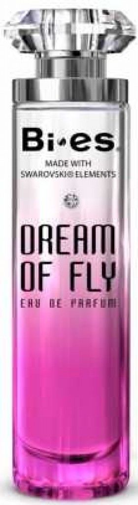 Dream of Fly