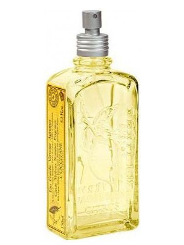 عطر لوكسيتان ان بروفنس سيتراس فيربنا سمر