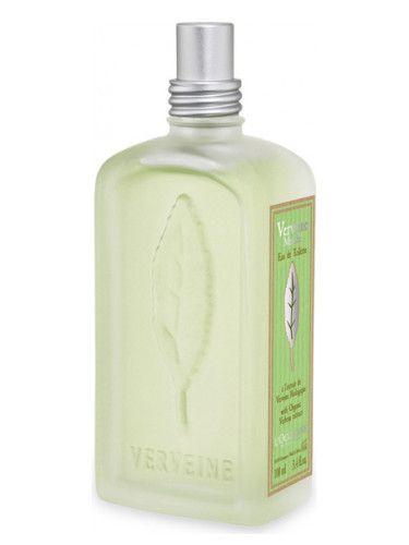 Verbena Mint