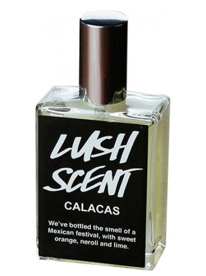 عطر لاش كالاكس