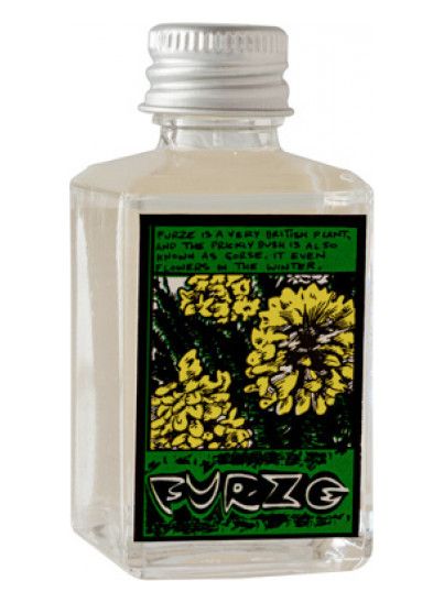 عطر لاش فورز