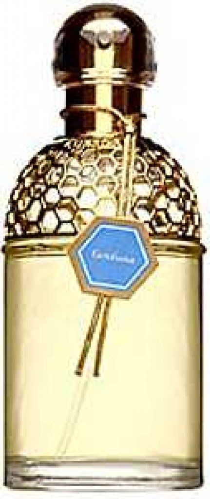 Aqua Allegoria Gentiana