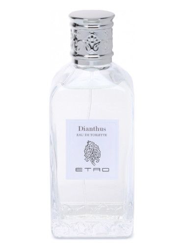 عطر ايترو ديانثس