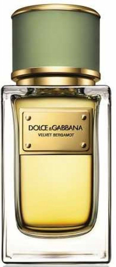 Velvet Bergamot Dolce&Gabbana