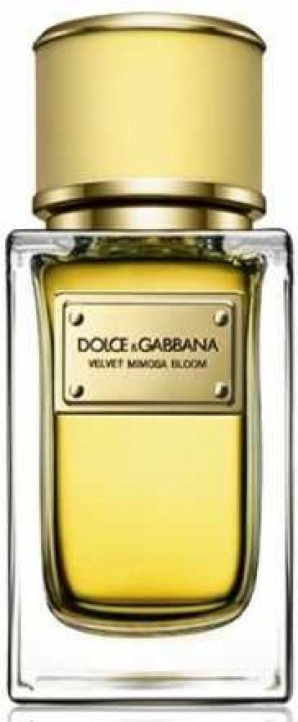 Velvet Mimosa Bloom Dolce&Gabbana