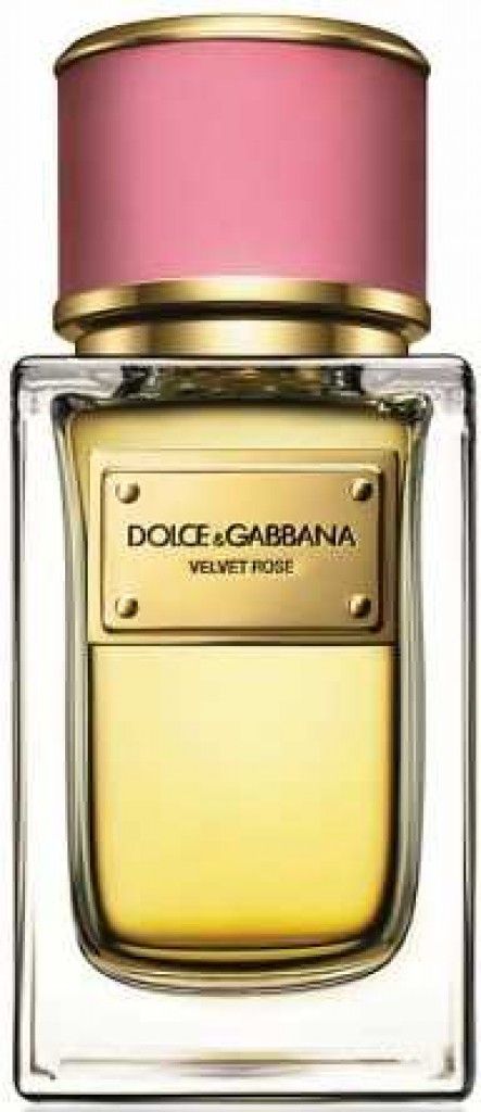 Velvet Rose Dolce&Gabbana