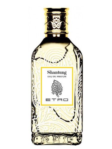 عطر ايترو شانتنج