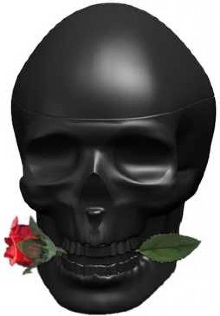 Ed Hardy Skulls & Roses for Him
