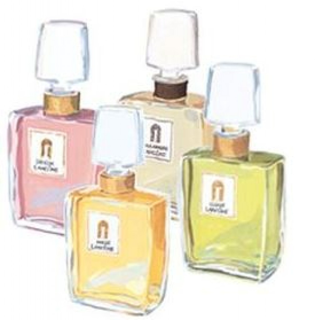 Sagamore (La Collection)