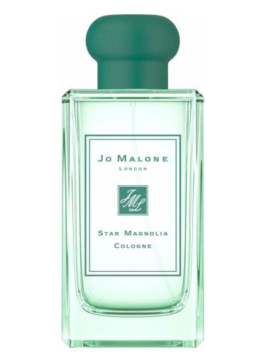 Star Magnolia Cologne (2019)