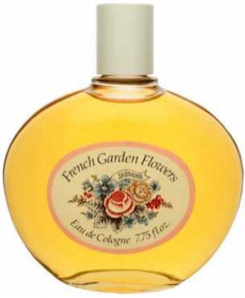 French Garden Flowers Jasmine