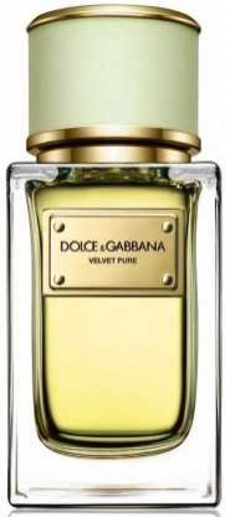 Velvet Pure Dolce&Gabbana